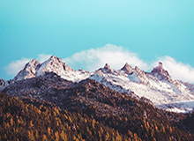 500彩票网赛事中心-【英超】B费传射 拉什福德破门 曼联2比2客平莱斯特